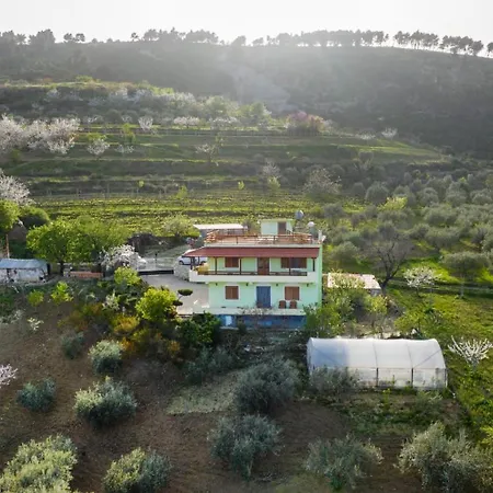 Vila Dean Berat Exterior photo